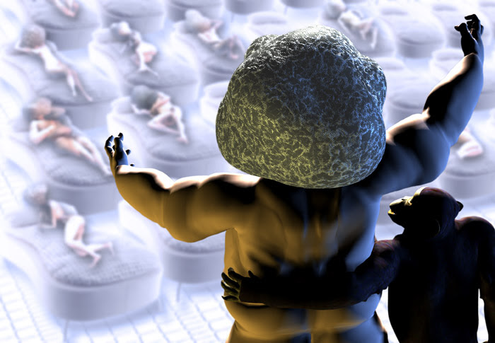 File:Cherry-boulder.jpg