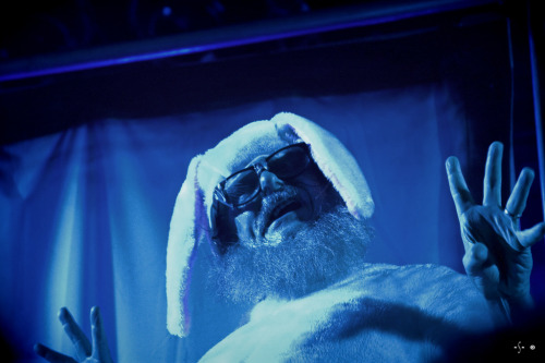 File:BunnyOnStage.jpg