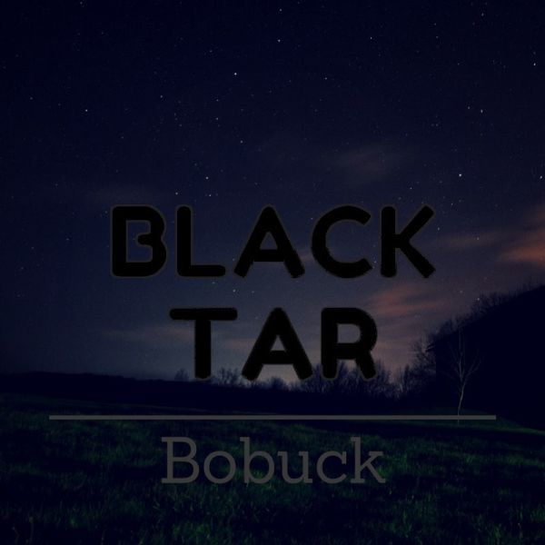 File:Hb3-blacktarbobuck.jpg