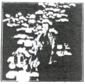 Thumbnail for version as of 09:48, 11 December 2025