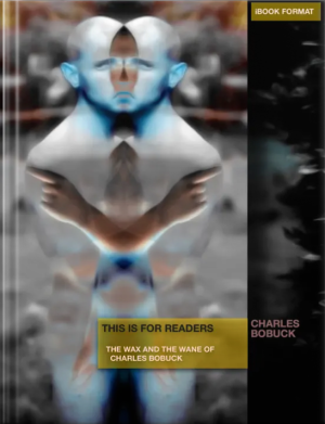 Enhanced iBook