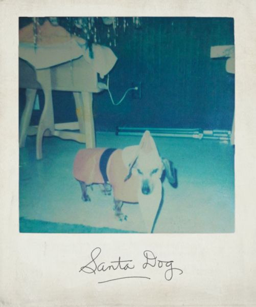 File:Maurice-santadog-polaroid.jpg