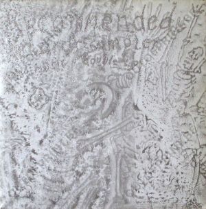 Recommended Records Sampler.jpg