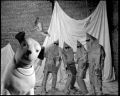 The Residents, 1974 - 1976