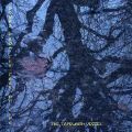 Thumbnail for version as of 09:44, 11 December 2025