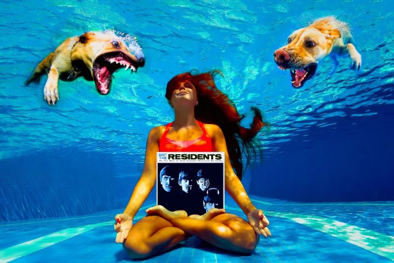 File:Newsmachine-DiveArchiveSale2.jpg