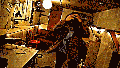 Thumbnail for version as of 09:49, 11 December 2025
